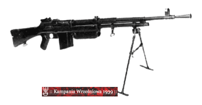 Rkm 7,92mm wz. 28 "Browning" 
